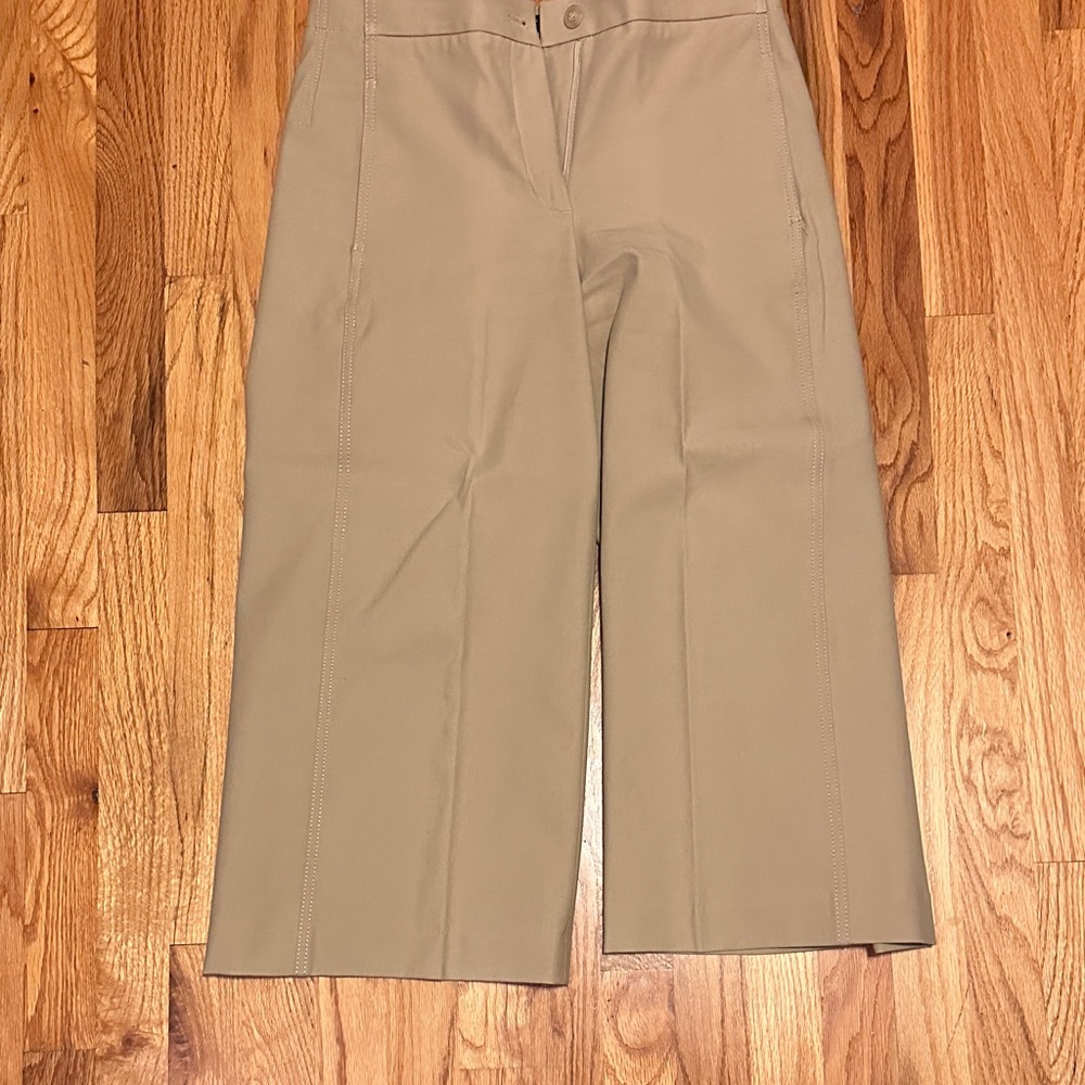 Ann Taylor Petite Beige Trousers